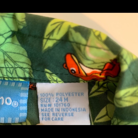 Lizards - Picture 2 of 2